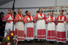 IMG_2287_1024x683