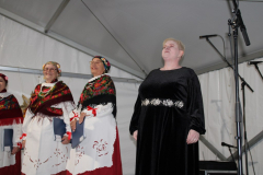IMG_2318_1024x683