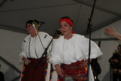 IMG_2363_1024x683
