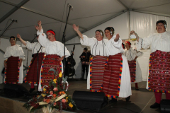 IMG_2364_1024x655