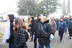 IMG_3764_1024x683