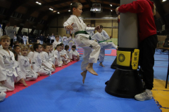 IMG_7818_1024x683