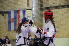 IMG_7972_1024x683