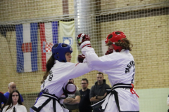 IMG_7974_1024x683