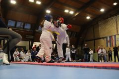 IMG_8208_1024x683