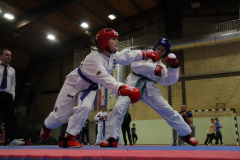 IMG_8242_1024x683