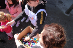 IMG_6542_1024x683