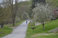 DSC_0253_1024x683
