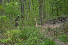 DSC_0567_1024x683