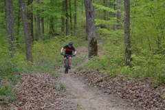 DSC_0698_1024x683
