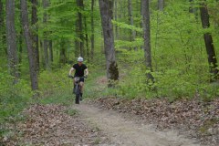DSC_0739_1024x683