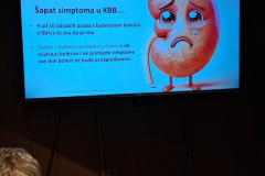 viber_slika_2026-04-13_07-33-51-913_576x768