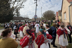 671683943_1269334932067272_3799429136448915571_n_1024x646