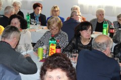 IMG_9078_1024x683