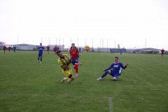 IMG_7844_1024x683