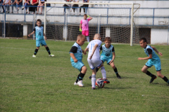 IMG_4697_1024x683