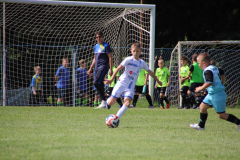 IMG_4705_1024x683