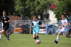 IMG_4716_1024x683