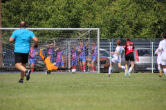 IMG_4719_1024x683