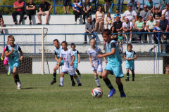 IMG_4739_1024x683