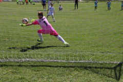 IMG_4776_1024x683