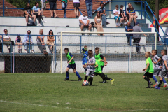 IMG_4804_1024x683