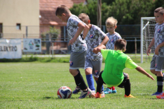 IMG_4824_1024x683