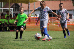IMG_4826_1024x683