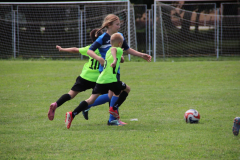 IMG_4861_1024x683