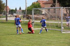 IMG_4867_1024x683