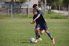 IMG_4969_1024x683