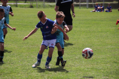 IMG_4987_1024x683