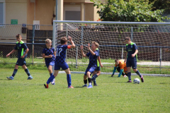 IMG_4990_1024x683