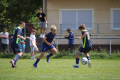 IMG_5006_1024x683