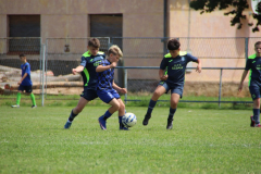 IMG_5010_1024x683