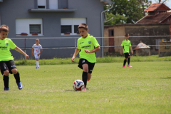 IMG_5016_1024x683