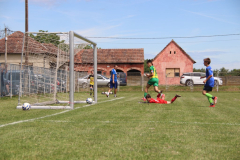 IMG_5021_1024x683