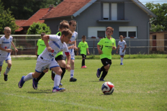 IMG_5026_1024x683