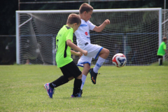 IMG_5032_1024x683