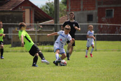 IMG_5037_1024x683