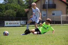 IMG_5063_1024x683