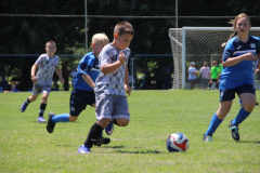 IMG_5103_1024x683
