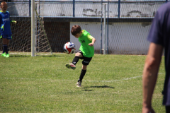 IMG_5172_1024x683