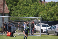 IMG_5208_1024x683