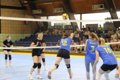 IMG_5339_1024x683
