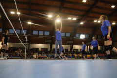 IMG_5349_1024x683