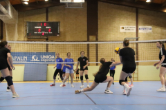 IMG_5393_1024x683