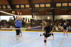 IMG_5424_1024x683