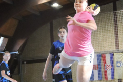 IMG_5739_1024x683