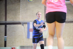IMG_5800_1024x683